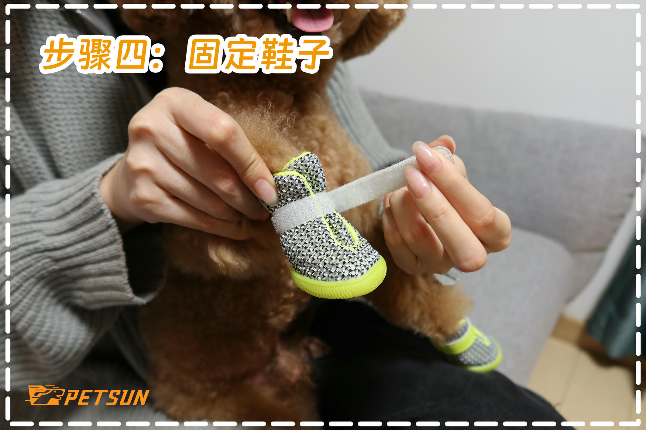 如何给够穿上鞋子